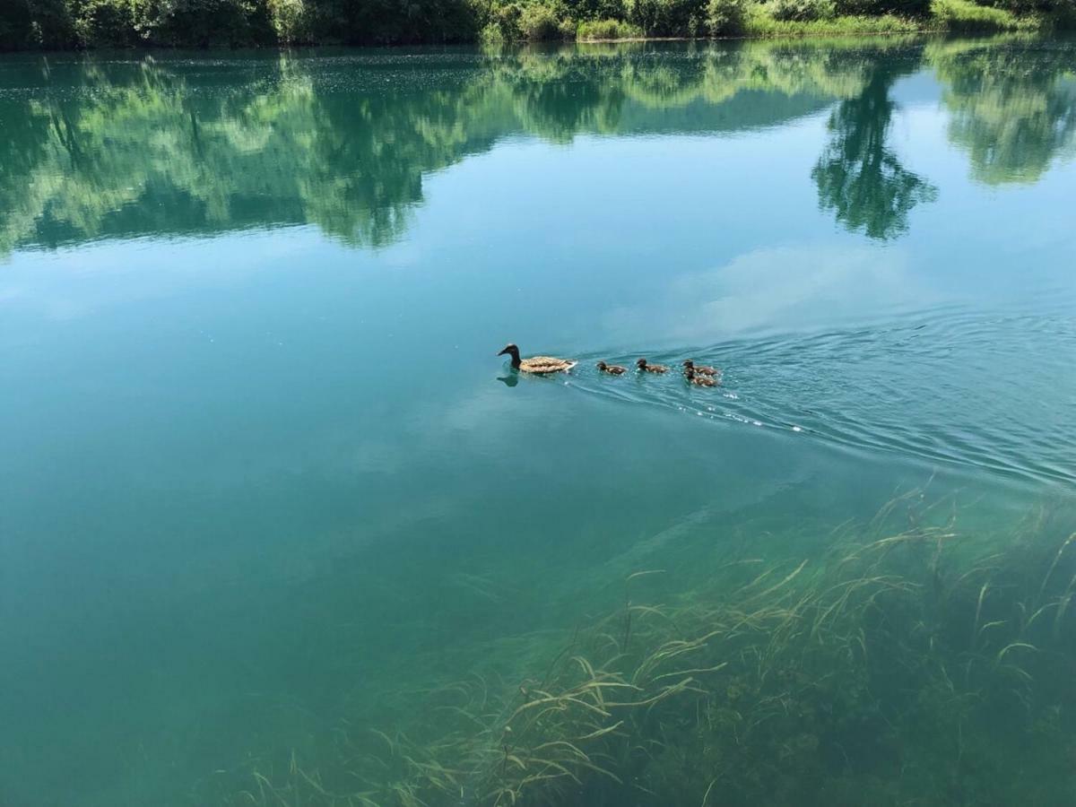 Navis Vila Bihac